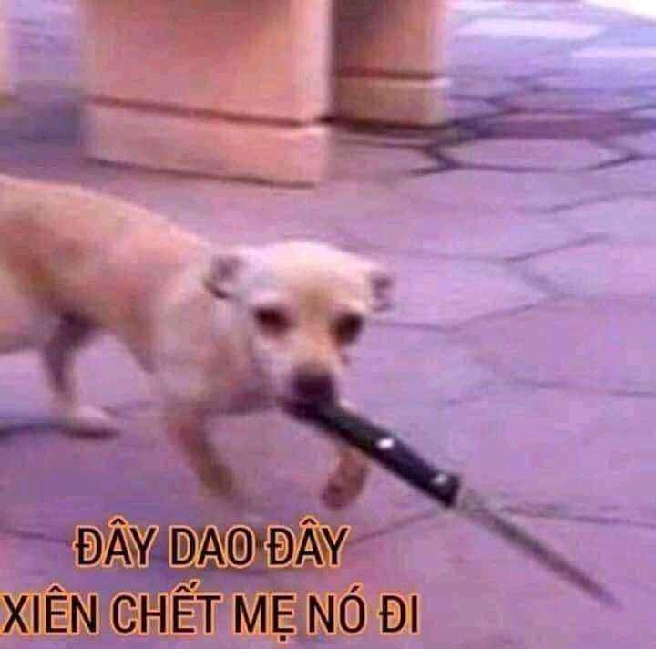 meme cầm dao