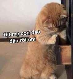 meme cầm dao