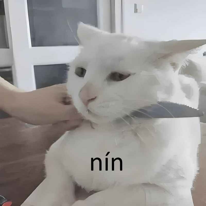 meme cầm dao