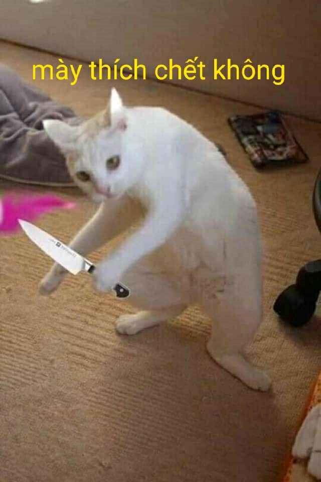 meme cầm dao