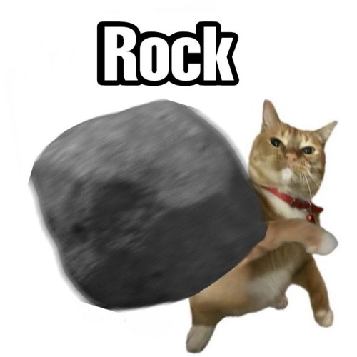 meme cat the rock