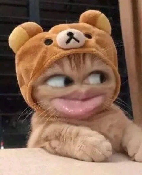 Meme Liếc