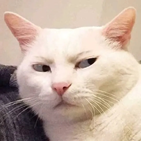 Meme Liếc