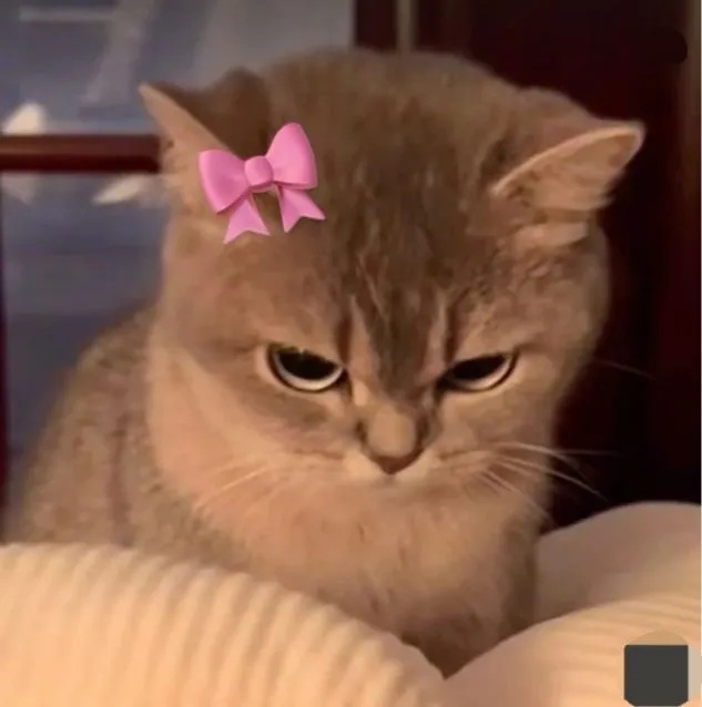 Meme Liếc