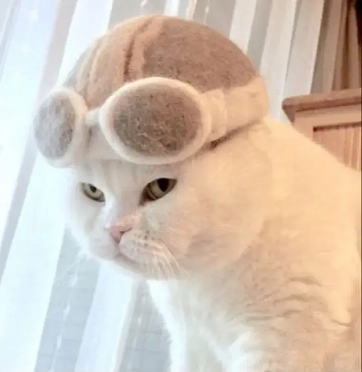 Meme Liếc