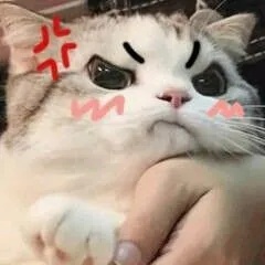 Meme Liếc