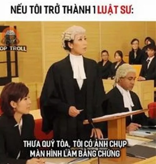 meme luật sư
