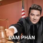 meme luật sư