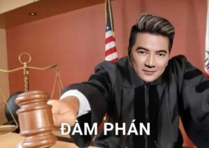 meme luật sư
