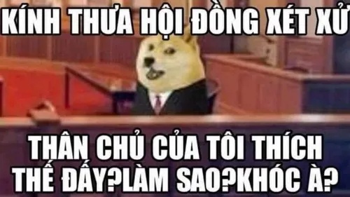 meme luật sư