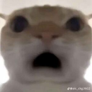 meme ngạc nhiên