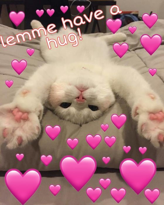 meme thả tim