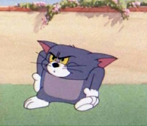 meme tom