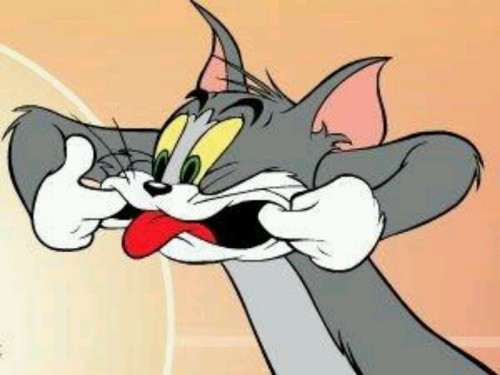 meme tom