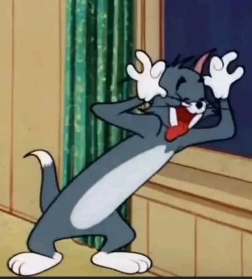 meme tom