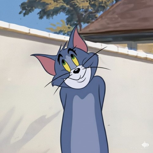 meme tom