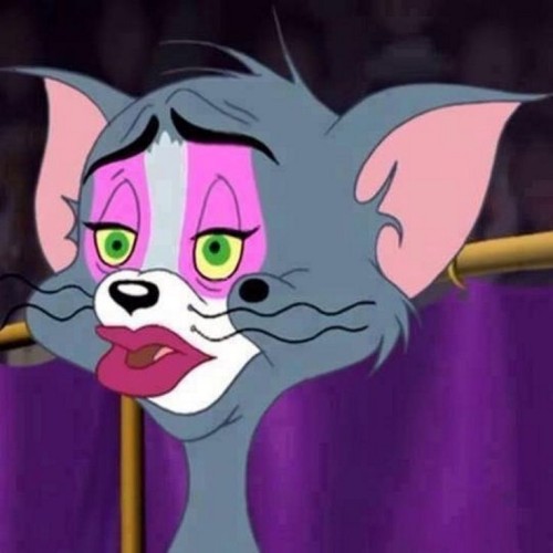meme tom