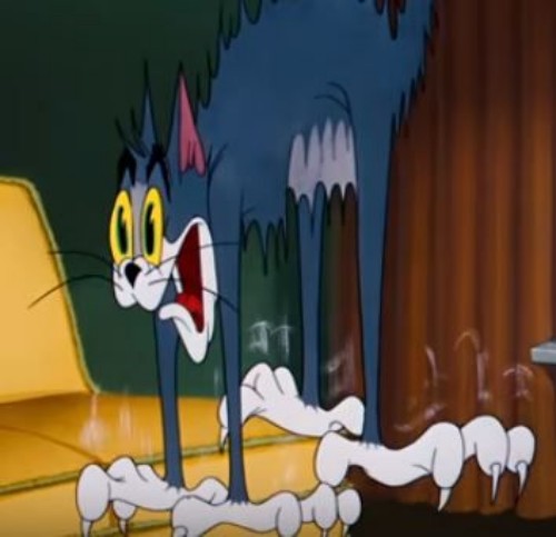 meme tom