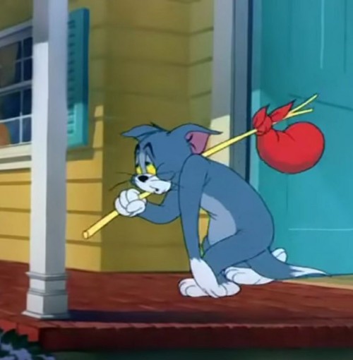 meme tom