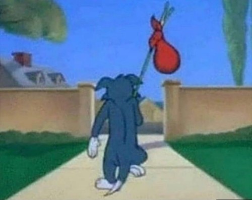 meme tom