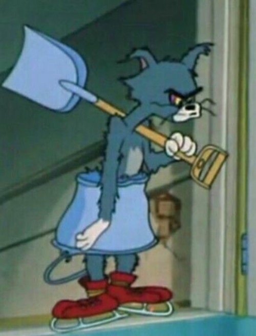 meme tom