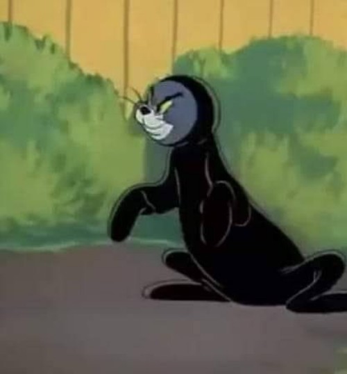 meme tom