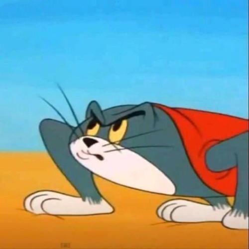 meme tom