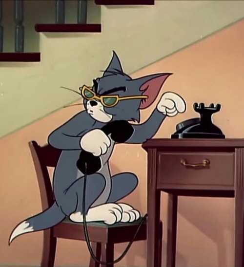 meme tom