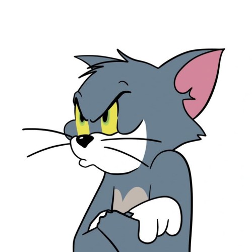 meme tom