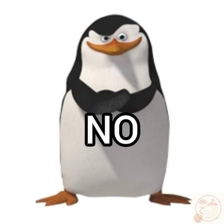 No Meme