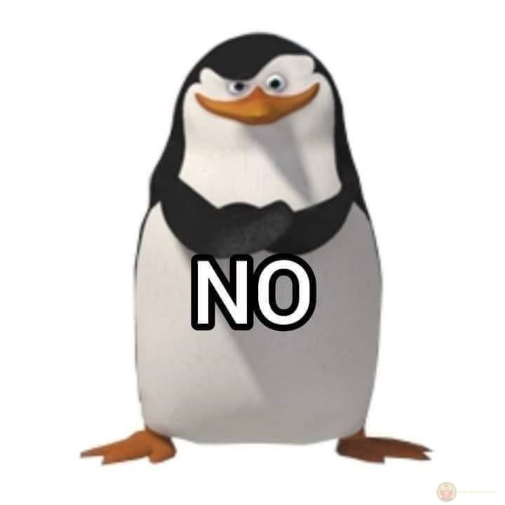 No Meme