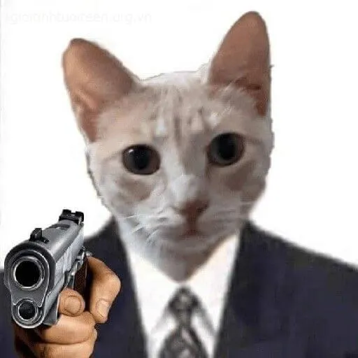 Meme mèo cầm súng