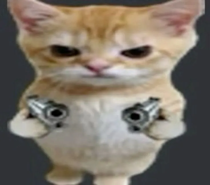 Meme mèo cầm súng