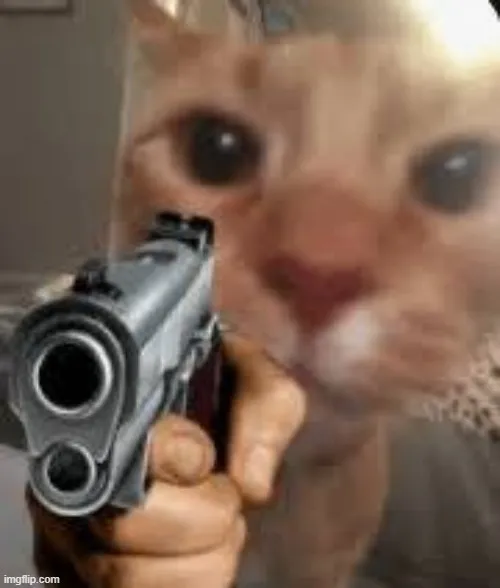 Meme mèo cầm súng