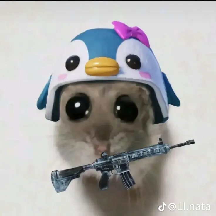 Meme mèo cầm súng