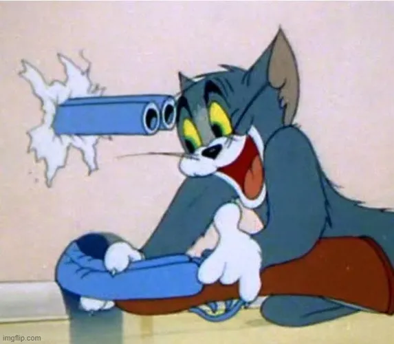 Meme mèo cầm súng