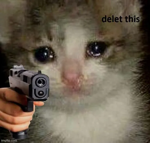 Meme mèo cầm súng