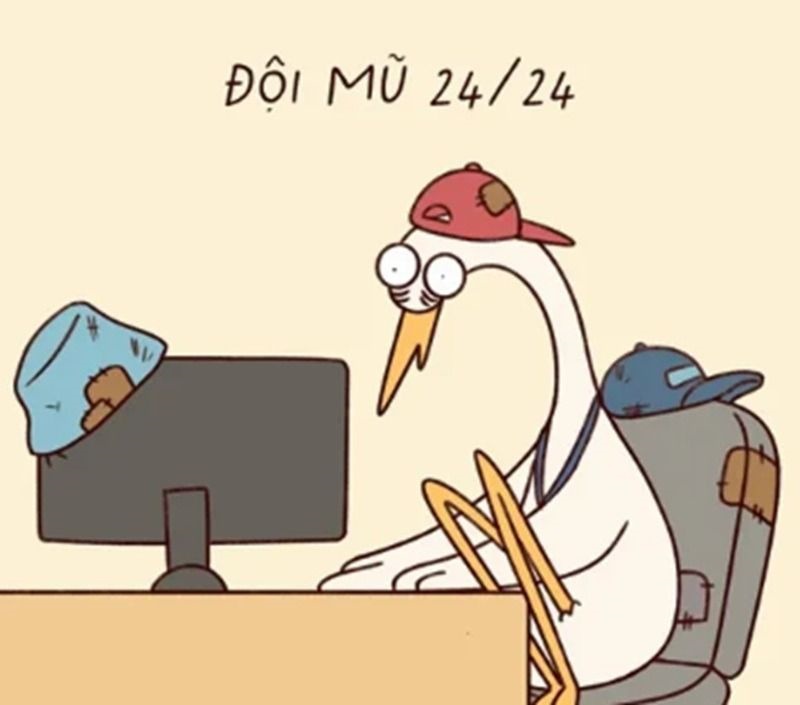 Hình Nền Máy Tính Meme