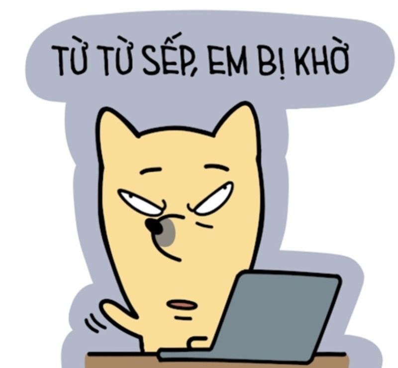 Hình Nền Máy Tính Meme