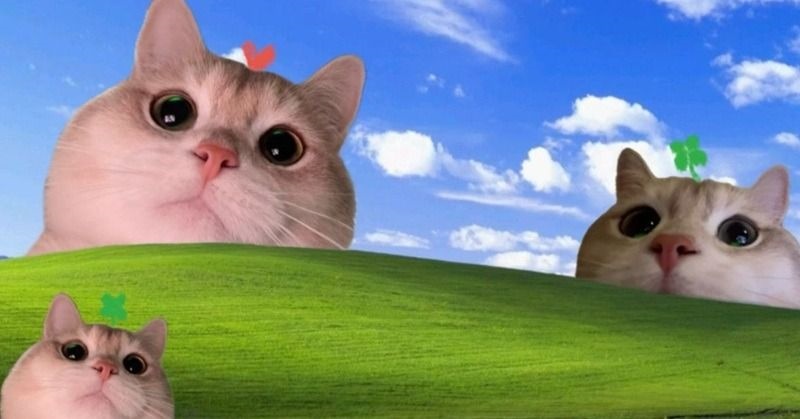 Hình Nền Máy Tính Meme