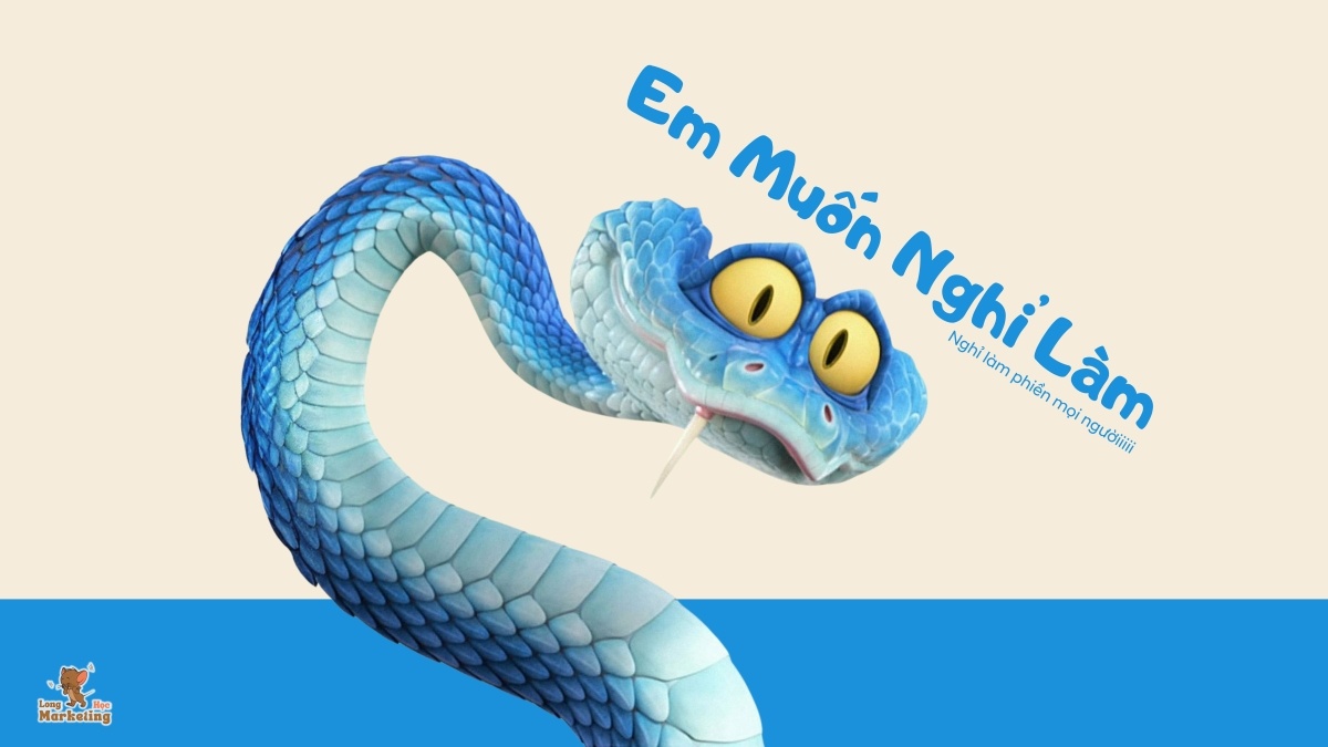 Hình Nền Máy Tính Meme