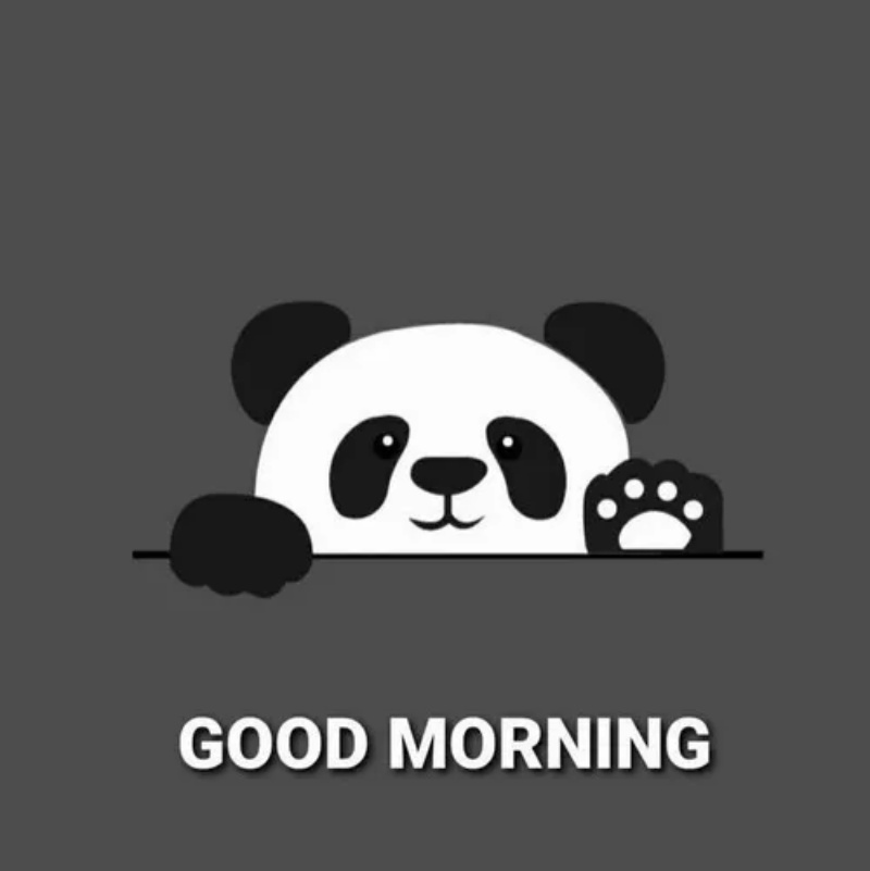 Meme chào buổi sáng