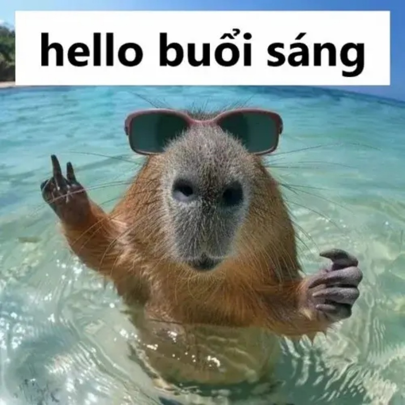 Meme chào buổi sáng