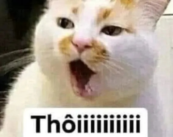 Meme Chê