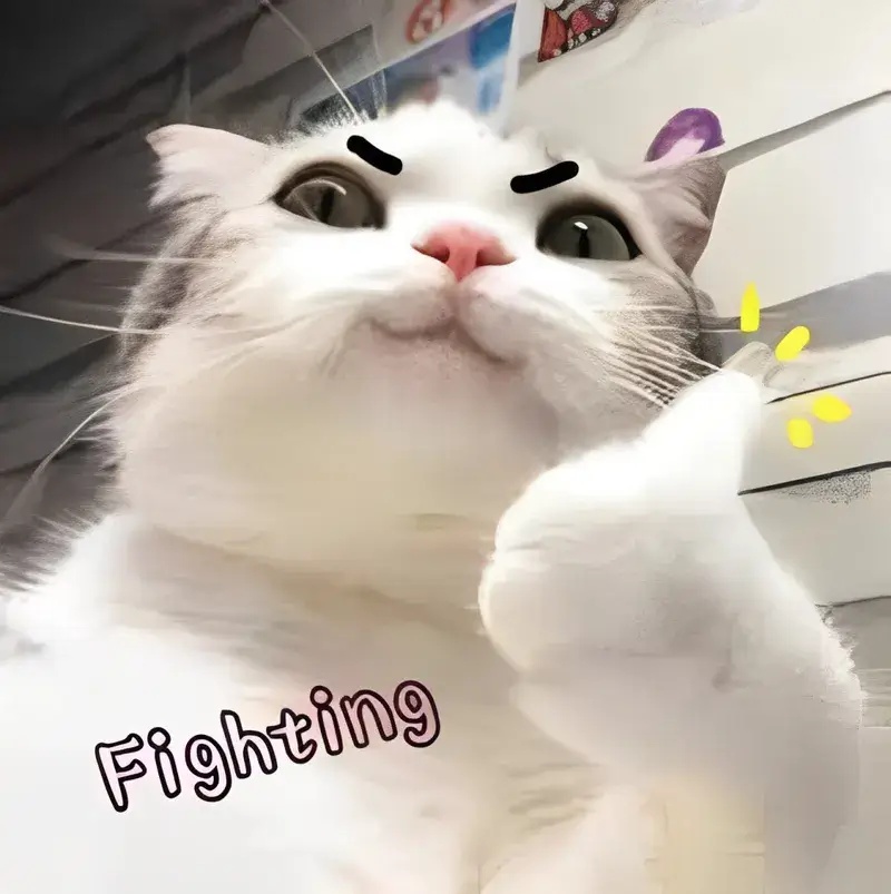 meme cố lên