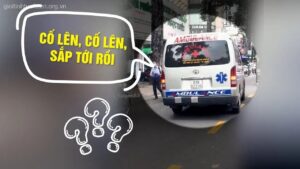 meme cố lên