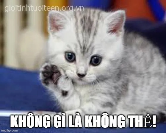 meme cố lên