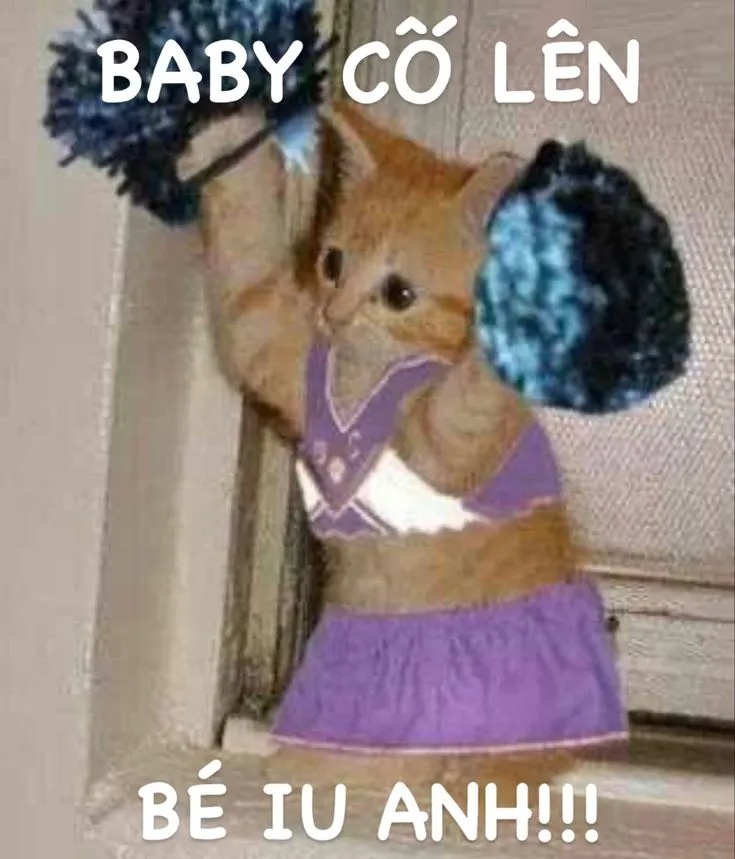 meme cố lên