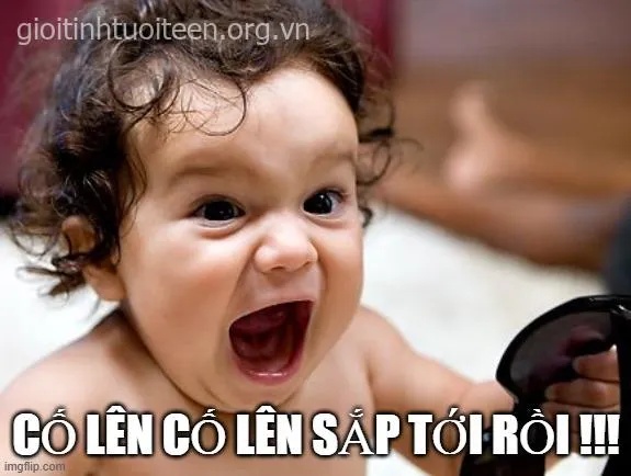 meme cố lên