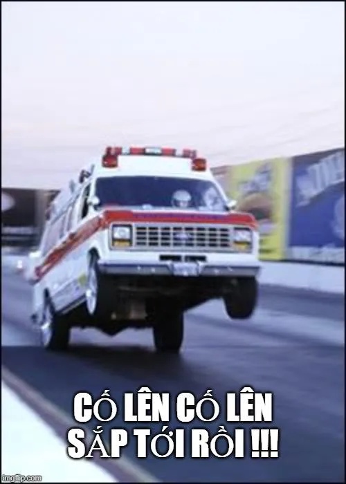 meme cố lên